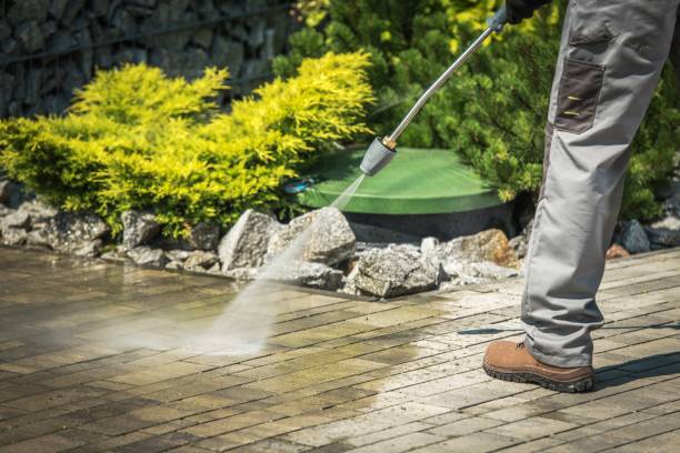 Spring Cleaning in Hutchinson Island South, FL